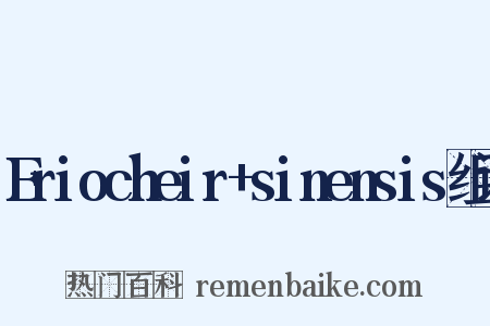 Eriocheir+sinensis组词是什么意思的图片